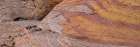USA-Nevada Abstract lines in the sandstone-Valley of Fire State Park Art Print